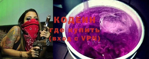 СК Сосновый Бор