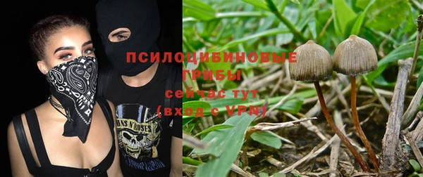 винт Богданович
