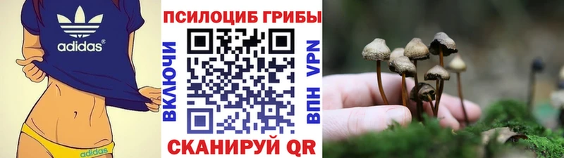Псилоцибиновые грибы Psilocybine cubensis  Наро-Фоминск 