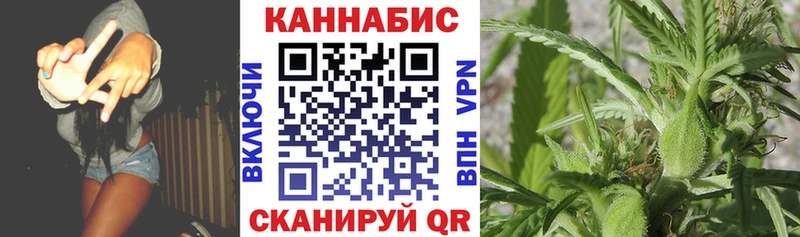 Бошки Шишки MAZAR  Наро-Фоминск 